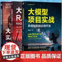 智能系统与技术丛书大模型项目实战多领域智能应用开发高强文RAG实战原理应用与系统构建大型语言模型实战指南刘聪机械工业出版