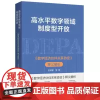 高水平数字领域制度型开放 9787208190498 上海人民出版社 彭德雷 等 著 2024-08