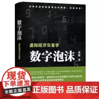 数字泡沫 张捷 虚拟经济交易学 张捷财经观察 各部门经济经管励志掠夺与反掠夺虚拟软实力与实体硬实力的持久战 华文
