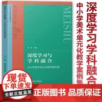 中小学美术核心素养案例集 深度学习学科融合美术单元化教学案例集 美术大单元教学设计 中学美术综合活动 美术教学论作业