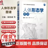 人体形态学图谱 十四五国家重点图书规划项目 钟世镇院士做序脑膜中动脉大脑主要沟回的体表投影9787559136602辽宁