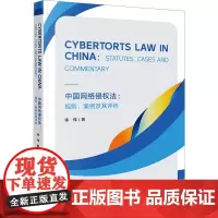 中国网络侵权法:规则、案例及其评析 徐伟 著 法学理论社科 正版图书籍 法律出版社