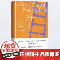 好人难寻 (美)弗兰纳里·奥康纳 著 周嘉宁 译 外国现当代文学 文学 人民文学出版社