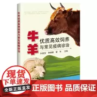 牛羊优质高效饲养与常见疫病诊治 许贵宝 李瑞香 靳冬 编 9787511669735 中国农业科学技术出版社
