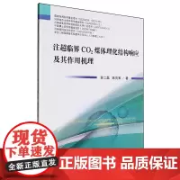 注超临界CO2煤体理化结构响应及其作用机理