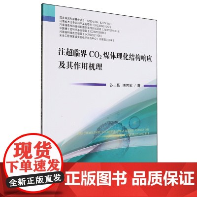 注超临界CO2煤体理化结构响应及其作用机理