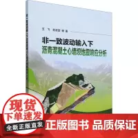 非一致波动输入下沥青混凝土心墙坝地震响应分析 王飞 等 著 交通/运输专业科技 正版图书籍 中国电力出版社
