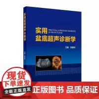 正版 实用盆底超声诊断学 张新玲 盆底超声的临床应用盆底超声诊断医学临床书籍图谱 人民卫生出版社