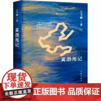 黄渤海记 王月鹏 著 中国现当代文学 文学 作家出版社