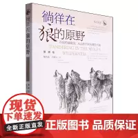 [余杭新华正版]徜徉在狼的原野 黎若晗//王博学著 敦煌文艺出版