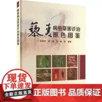 藜麦病虫草害诊治原色图鉴 赵晓军 殷辉 邢鲲 编 9787511665737 中国农业科学技术出版社