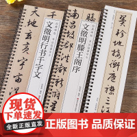 文徵明行书千字文滕王阁序行书毛笔书法字帖全文经典碑帖书法临摹字卡原大版墨迹本文征明成人学生临摹范本近距离临摹临帖卡