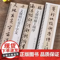 文徵明行书千字文滕王阁序行书毛笔书法字帖全文经典碑帖书法临摹字卡原大版墨迹本文征明成人学生临摹范本近距离临摹临帖卡