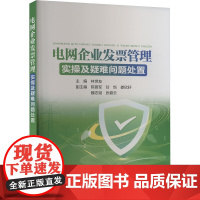 电网企业发票管理实操及疑难问题处置 林世友 编 建筑/水利(新)专业科技 正版图书籍 中国电力出版社