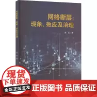 网络断层:现象、效应及治理 成泷 著 其它计算机/网络书籍专业科技 正版图书籍 科学技术文献出版社