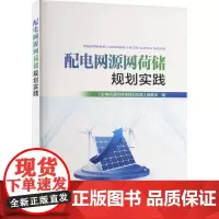 配电网源网荷储规划实践 《配电网源网荷储规划实践》编委会 编 建筑/水利(新)专业科技 正版图书籍 中国电力出版社