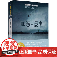 丽赛的故事 (美)斯蒂芬·金 著 陈宗琛,彭临桂 译 外国科幻,侦探小说 文学 人民文学出版社