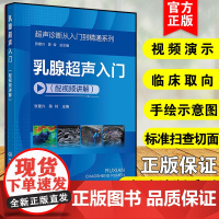 超声诊断从入门到精通系列 乳腺超声入门 配视频讲解 超声入门影像读片指南 超声断面图体位图手绘示意图 医学影像参考书