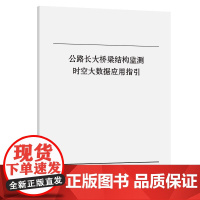 公路长大桥梁结构监测时空大数据应用指引
