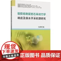 弱胶结地层岩石采动力学响应及保水开采机理研究:刘洪林 著 大中专理科科技综合 大中专 中国矿业大学出版社
