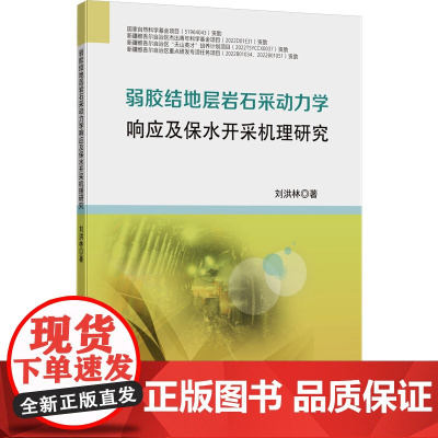 弱胶结地层岩石采动力学响应及保水开采机理研究:刘洪林 著 大中专理科科技综合 大中专 中国矿业大学出版社