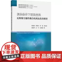 复杂条件下受限空间瓦斯煤尘爆炸耦合机理及伤害模型:景国勋等 著 大中专理科科技综合 大中专 中国矿业大学出版社