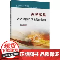 火灾高温对砖砌体抗压性能的影响:苗生龙 著 大中专理科科技综合 大中专 中国矿业大学出版社