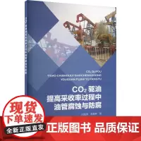 CO2驱油提高采收率过程中油管腐蚀与防腐 白海涛,陈景辉 著 石油 天然气工业专业科技 正版图书籍 中国石化出版社