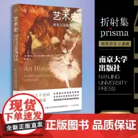 艺术史:研究方法批判导论 当代学术棱镜译丛 视觉文化与艺术史系列 美学艺术史研究历程 南京大学出版社
