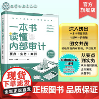 扫码看视频 财务人员进阶之道实战丛书 一本书读懂内部审计 要点 实务 案例 企业内部审计要点实务图文详解 审计企业管理知