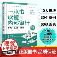 一本书读懂内部审计 要点实务案例 财务人员进阶之道实战丛书企业公司财务管理财务总监内部审计业务人员财务会计出纳业务参考书