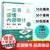 一本书读懂内部审计 要点实务案例 财务人员进阶之道实战丛书企业公司财务管理财务总监内部审计业务人员财务会计出纳业务参考书