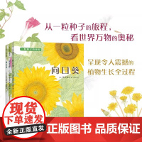 一粒种子的旅程 套装3册 向日葵 牵牛花 蒲公英 金苹果奖 植物 观察 入选亲近母语小学生分级阅读书目 正版童书 爱心树