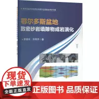 鄂尔多斯盆地致密砂岩填隙物成岩演化 郭睿良,邓秀芹 著 冶金工业专业科技 正版图书籍 中国石化出版社