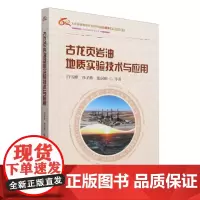 古龙页岩油地质实验技术与应用(大庆油田勘探开发研究院60周年系列科技图书)