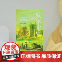 威尔士史:历史与身份的演进 A Concise History of Wales 剑桥大学出版社经典版本 从尼安德特人到