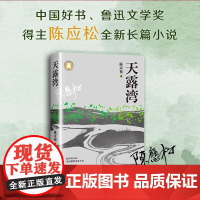 天露湾 鲁迅文学奖得主 陈应松长篇小说 年度中国好书 当代乡村脱贫奔小康 小说书排行榜 文艺小说 小说书籍 长江文艺