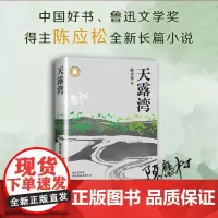 天露湾 鲁迅文学奖得主 陈应松长篇小说 年度中国好书 当代乡村脱贫奔小康 小说书排行榜 文艺小说 小说书籍 长江文艺