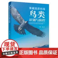 青藏高原机场鸟类识别与防控