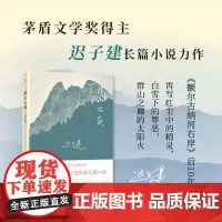 群山之巅 迟子建 人民文学