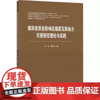 煤田岩浆岩影响区煤层瓦斯动力灾害防控理论与实践:王亮,程远平 著 大中专理科科技综合 大中专 中国矿业大学出版社