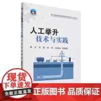 人工举升技术与实践/鄂尔多斯盆地低渗透致密气藏采气工程丛书