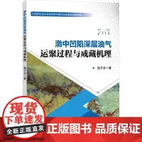 渤中凹陷深层油气运聚过程与成藏机理 赵子龙 著 石油 天然气工业专业科技 正版图书籍 中国石化出版社