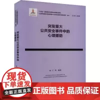 突发重大公共安全事件中的心理援助 何宁,游旭群 等 编 心理学社科 正版图书籍 浙江教育出版社