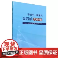 鲁西中-新生代页岩油资源评价