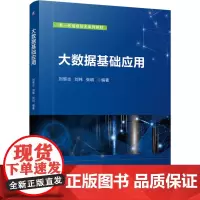 大数据基础应用:刘黎志,刘玮,张明 编 大中专高职计算机 大中专 机械工业出版社