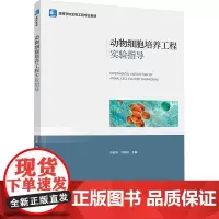 动物细胞培养工程实验指导:乔自林,刘振斌 编 大中专理科农林牧渔 大中专 中国轻工业出版社