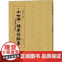 《十七帖》释要与临摹 傅文治 编 毛笔书法 艺术 河南美术出版社