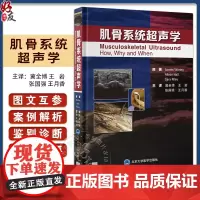 肌骨系统超声学 超声图像优化和安全防护 肌骨系统超声的基本原则概述 主译冀全博 王岩 张国强等9787565931819