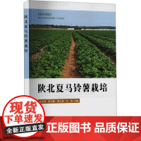 陕北夏马铃薯栽培 张春燕 等 编 农业基础科学专业科技 正版图书籍 中国农业出版社